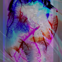 armsbodylegsfleshskinbonesinew