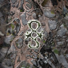 Aulic Veil - Björn Andrésen