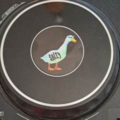 If I ask you to dance, would you say yes? SALTY @ Tansen im Hansen