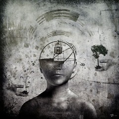 THE BRAIN OVER THE SPACE
