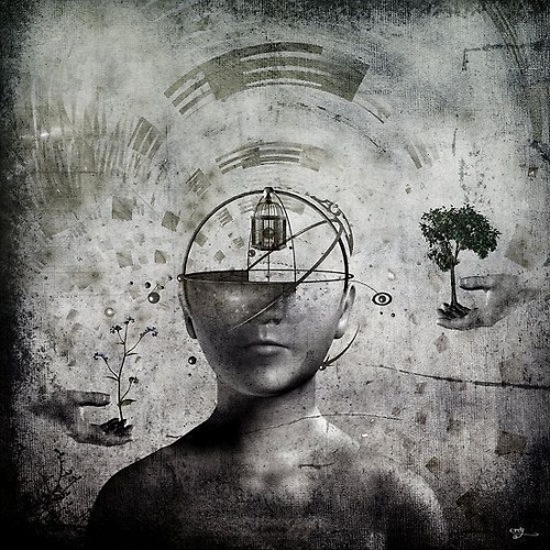 THE BRAIN OVER THE SPACE