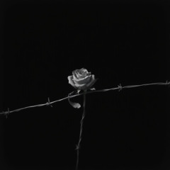 Johnny Cash - Hurt [Deutsche Version]