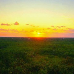 Don’t Let Your Fire Die