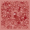 Iron & Wine - California Sober