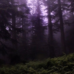 where the stars @