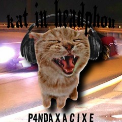 A C I X E x P4NDA - CAT IN HEADPHONE