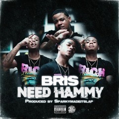 Bris - Need Hammy