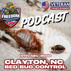 Bed Bug Control, Clayton NC