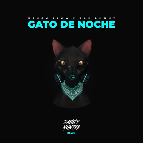 Ñengo Flow x Bad Bunny - Gato De Noche (Danny Hunter Remix)