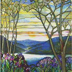 [DOWNLOAD] PDF 🗂️ Tiffany Window Journal (Magnolias and Irises) by  Inc. Peter Paupe