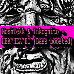 MoshTekk & Inkognito - HEA HEA HO (Bass boosted)