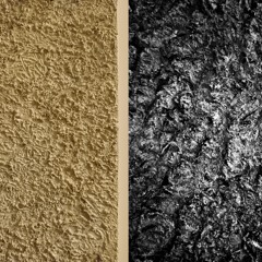 "Sie war schon Wurzel"