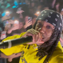 untitled eem triplin snippet