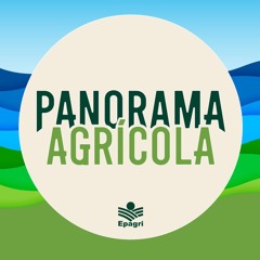 6 de novembro - Do campo à gestão: custos de produção como referência para frutas em SC | Parte 1