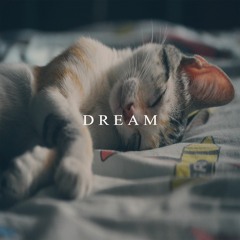 DREAM(Prod.DAY8)
