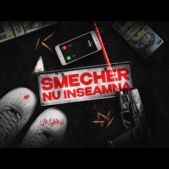 Ursaru - Șmecher nu înseamnă