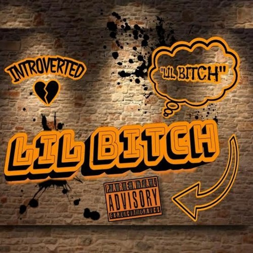 INTROVERTED DIRTY D- LIL BITCH (feat.) INTROVERTED MARCCY X INTROVERTED GHOST