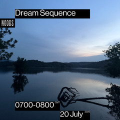 Dream Sequence 10