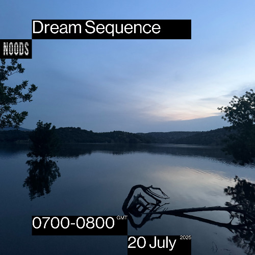Dream Sequence 10