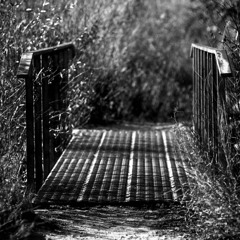 A Path into the Future