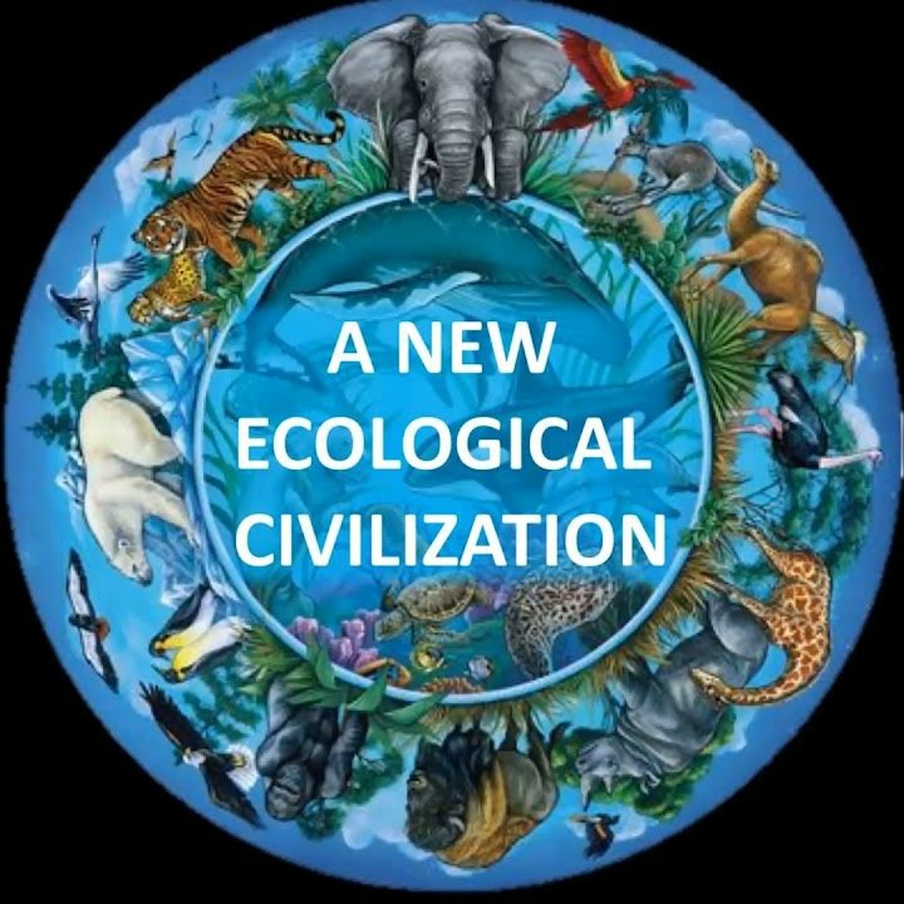 The Magical Mystery Tour  July 16 2021 Toward An Ecological Civilization - Jeremy Lent episode artwork