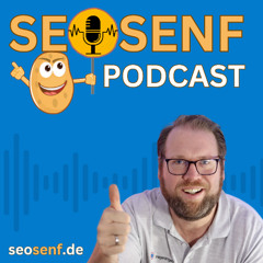 Google Search Console - wie wichtig ist sie tatsächlich | Gespräch mit Stefan Fischerländer #227