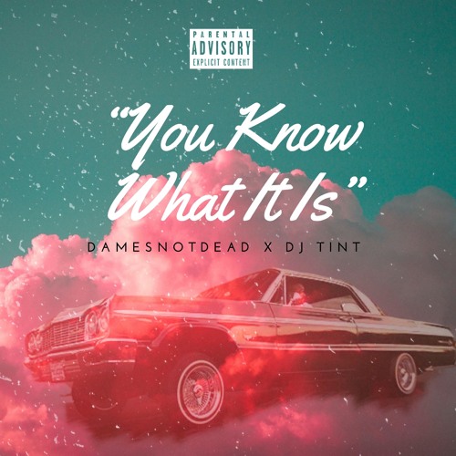 DAMESNOTDEAD X DJ TINT - YOU KNOW WHAT IT IS