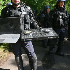 junglist in breakcore ( all cats are black)