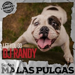 DJ Randy - Let You Go