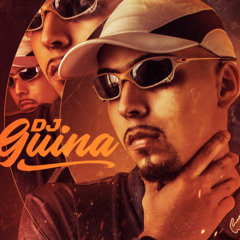 HOJE É PAPO DE SALADA - DJ GUINA ( DJ RAFINHA DN e DJ GUINA )