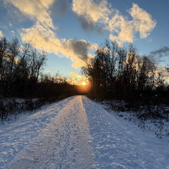 Episode 306-Nature is Calling-Are You Listening-Part 1