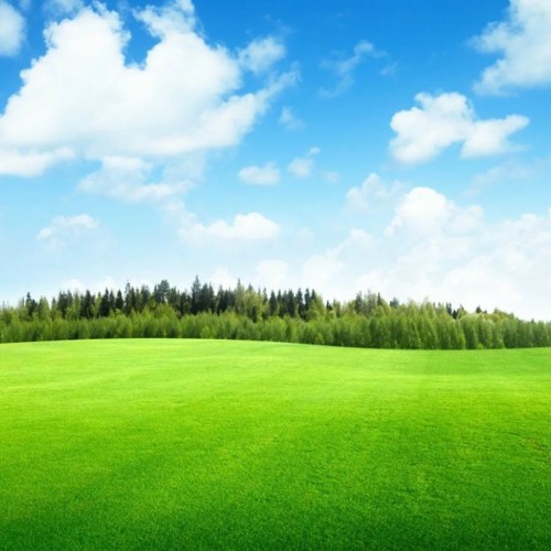 ..... happy background music FREE DOWNLOAD