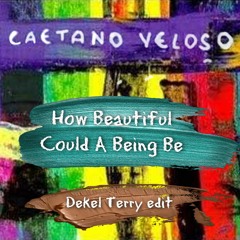 Caetano Veloso - How Beautiful A Being Could Be (Dekel Terry Remix)