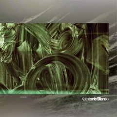 B1 Katatonic Silentio - II