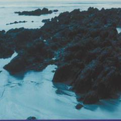 Hqte Fvck Cockcore CHipper