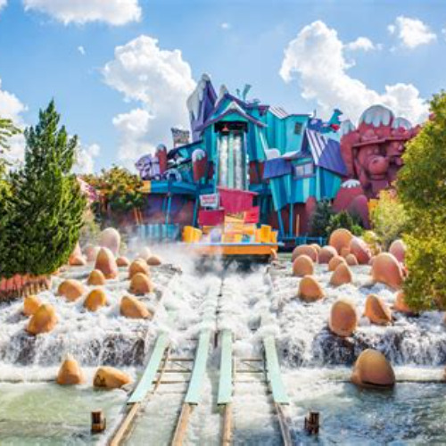 Best Coolest Things To Do In Florida Tours Reviews