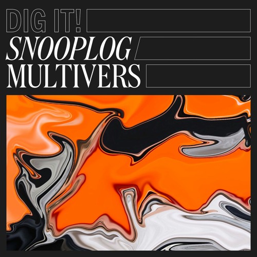 Snooplog - Multivers (Dig It! 013)