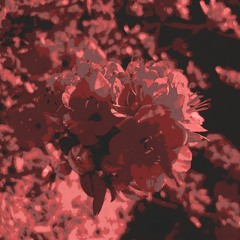 Jose - Unrequited (Prod. Zey Rose)