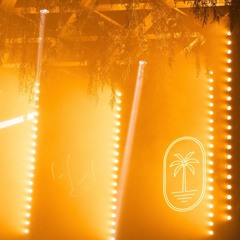Palm - Afro House 25’