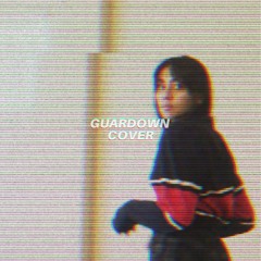 guardown by Torr cover