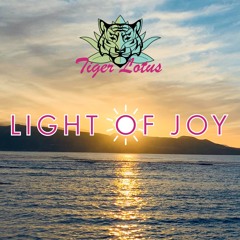 Light Of Joy (short)
