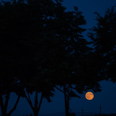 Born - Theary Alex Remix