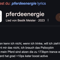pferdeenergien x hardcore vibes