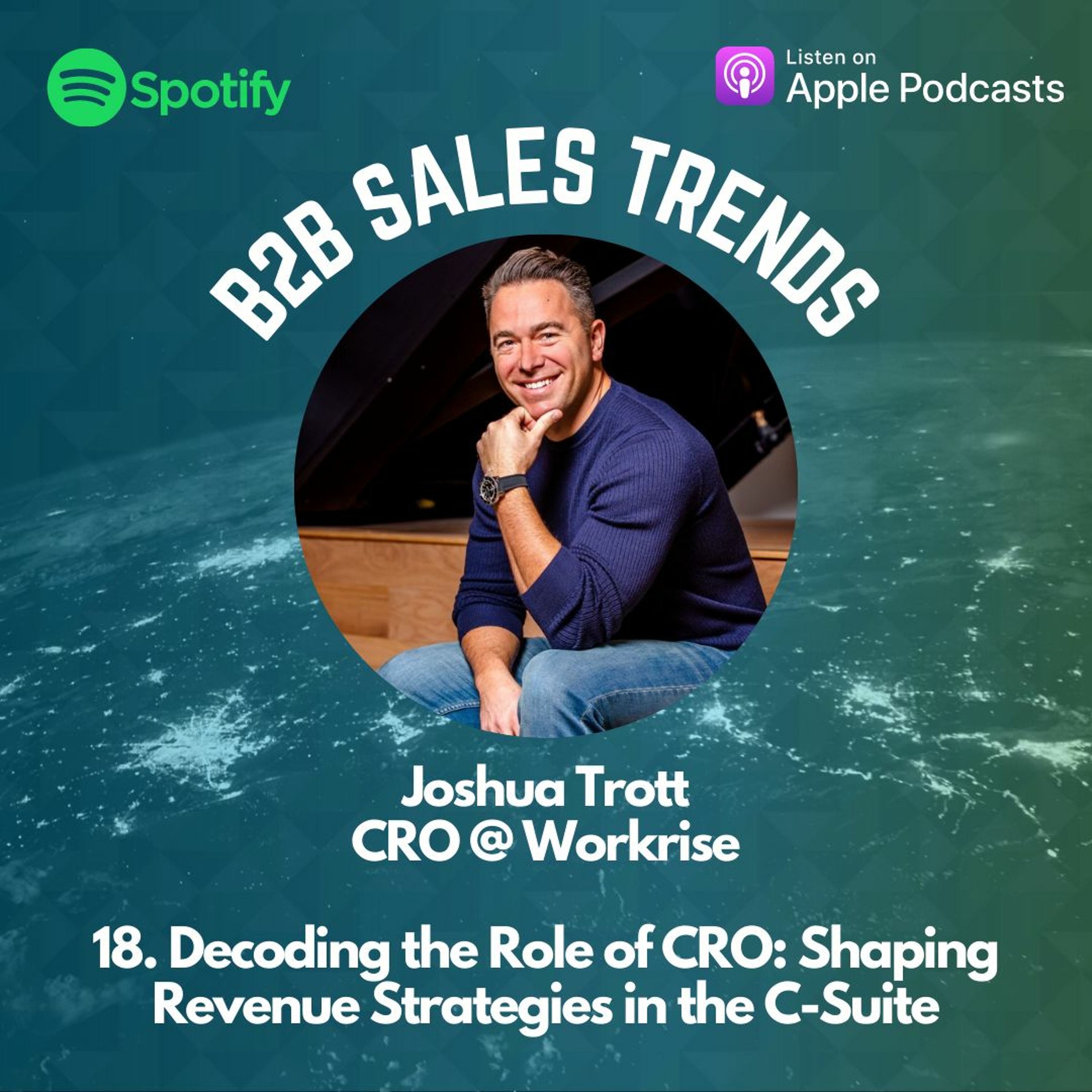 18. Decoding the Role of CRO: Shaping Revenue Strategies in the C-Suite episode artwork