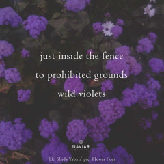 SONG 115 - NaviarHaiku605 - Just Inside the Fence