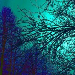 Tribal Vision_(Fusei.in.clipa) Ep 1