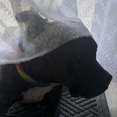 Hey, You (prod. waterbug)