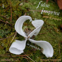 False Imprint w/ DJ Papaya - Dec 1st 2025