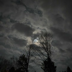 FEAR (prod. FoitzaBih)