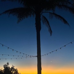 "Pimmie's Dilemma" - Afro House Remix (prod. gutta)